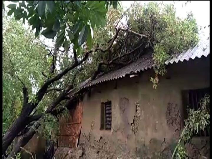 রাস্তায় গাছ পড়ে বন্ধ নারকেলডাঙা মেন রোড। গতকাল রাতে ঝড়ের সময় নারকেলডাঙা থানার সামনে ভেঙে পড়ে গাছটি। ব্যাহত যান চলাচল। গুরুদাস কলেজের কাছে বেলেঘাটার সুরেন সরকার রোডে গাছ ভেঙে পড়ায় বিপত্তি। যান চলাচল ব্যাহত। কাঁকুড়গাছি থেকে উল্টোডাঙা যাওয়ার পথে, গাছ ভেঙে পড়ে বিপত্তি। ভেঙে যায় রাস্তার রেলিং। ক্ষতিগ্রস্ত ফুটপাথ। হেলে পড়েছে বাতিস্তম্ভ। 
