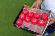 গোধূলিতে গোলাপী বলে খেলাই সবচেয়ে বড় চ্যালেঞ্জ: পূজারা