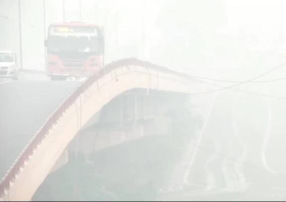 বিপুল পরিমান বৃক্ষরোপণের পরামর্শ দেওয়া হয়েছে দিল্লির মানুষকে