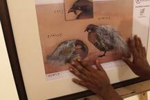 'স্পর্শ দৃষ্টি', দৃষ্টিহীনদের জন্য ছবি নিয়ে বিশেষ প্রশিক্ষণ