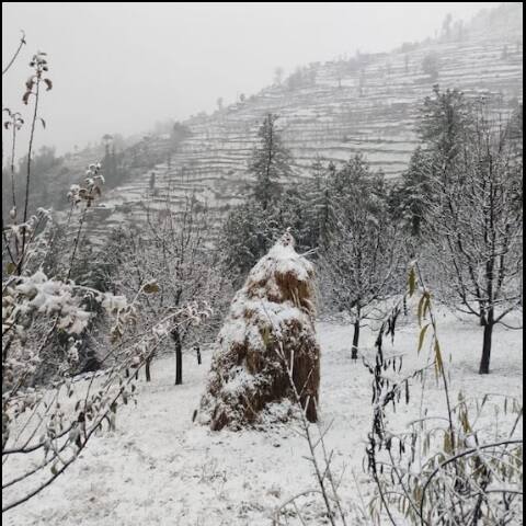 বরফে ঢেকেছে মান্ডি।