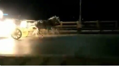 pune: a man chases runway horse carriage, watch video মোটরবাইকে চড়ে লাগামছুট ঘোড়ার গাড়ি থামাতে পিছু ধাওয়া এক ব্যক্তির, ভিডিও ভাইরাল