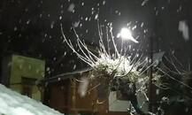 দেখুন, জম্মু-কাশ্মীর ও হিমাচলপ্রদেশের বিভিন্ন এলাকা ঢেকেছে তুষার-চাদরে