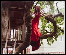 গাছের ওপর আমির-কন্যা ইরার নতুন ফটোশ্যুট, ছবি ভাইরাল নেট দুনিয়ায়