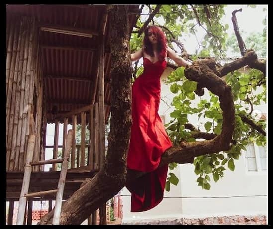 ইনস্টাগ্রামে ছবিগুলি শেয়ার করেছেন ইরা। সঙ্গে লিখেছেন, আমি সবসময় একটি ট্রি হাউস চেয়েছি