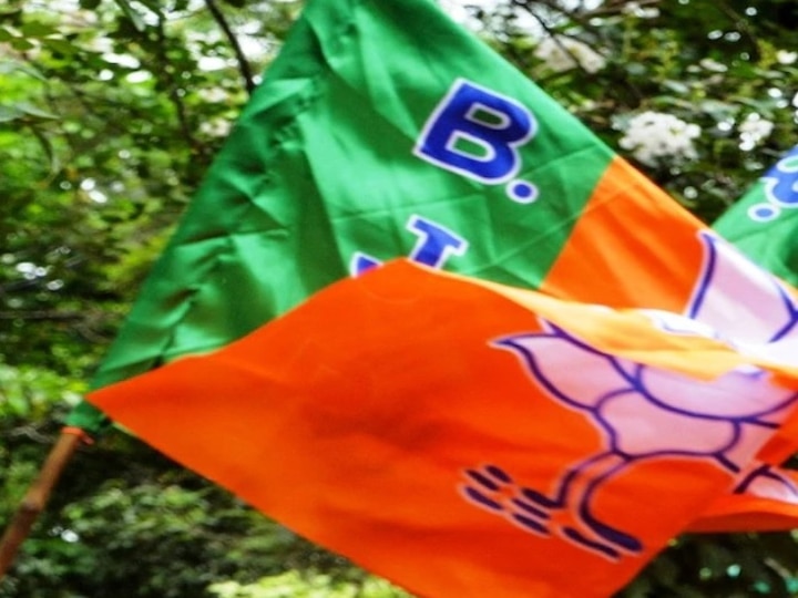 Gujarat Panchayat by poll results 2019, clean sweep for BJP as it bags 29 of 33 seats, Congress manages just 3 গুজরাতে পঞ্চায়েত উপনির্বাচনে বিজেপির দাপট, ৩৩টি আসনের মধ্যে দখলে ২৯, কংগ্রেস পেল ৩টি