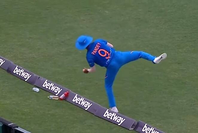 দেখে বলুন তো, কোন ক্যাচটা সেরা? BEST Catches of 2019 দেখে বলুন তো, কোন ক্যাচটা সেরা?