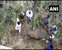 উদয়পুর: সজ্জনগড় বায়োলজিক্যাল পার্কে ডেরায় বেড়া ভেঙে ঢুকে বাঘিনীকে মেরে ফেলল বাঘ