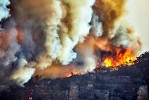 পুড়ে খাক হয়ে যাচ্ছে অস্ট্রেলিয়ার অরণ্য, প্রাণের ভয়ে ছুটেছে মানুষ, জীবজন্তু
