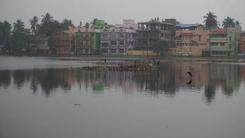 তবে স্থানীয় বাসিন্দারা জানিয়েছেন, দূষণের কারণে পাখির সংখ্যা সাম্প্রতিক বছরগুলিতে অনেক কমে গিয়েছে।