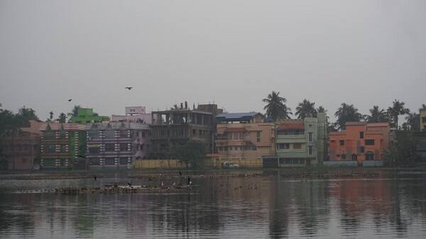 দেরিতে হলেও, অন্যান্য বছরগুলির মতো এবারের শীতেও হাওড়ার সাঁতরাগাছি ঝিলে এসেছে পরিযায়ী পাখির দল।