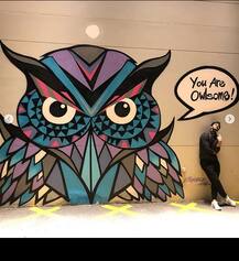 দেখুন! নানা ধরনের প্যাঁচা, সামনে সুস্মিতা সেন ও বয়ফ্রেন্ড রহমান শাল