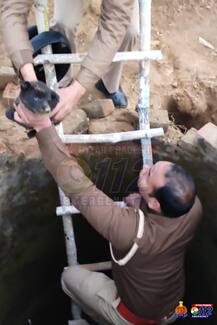 সাপের ভয় উপেক্ষা করে কুয়োয় নেমে তিনটি কুকুরছানাকে বাঁচালেন উত্তরপ্রদেশের এক পুলিশকর্মী