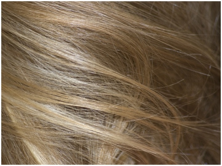 Mental pressure causes hair colour change শুধু বয়স নয়, মানসিক চাপেও সাদা হতে পারে চুল, প্রকাশ্যে চমকে দেওয়া তথ্য
