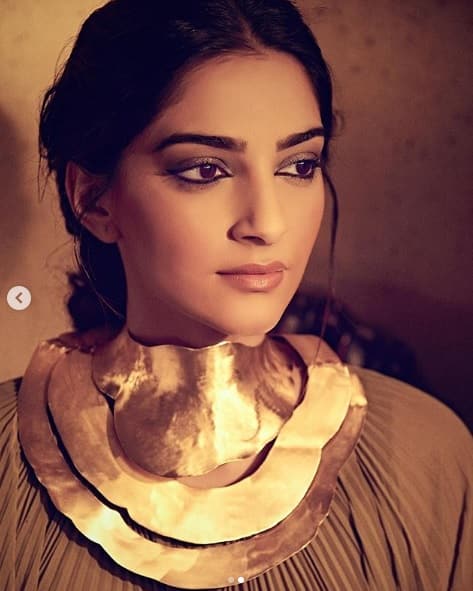সোনমের মেকাপ ছিল মোহময়ী।