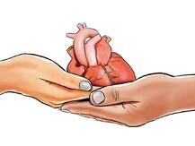 ৭ বছর আগে মৃত্যু বাবার, দুর্ঘটনায় ‘ব্রেনডেড’ মায়ের অঙ্গদানের সিদ্ধান্ত ভোপালের ১০ বছরের ছেলের