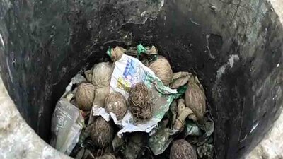 12 Narikuravars held for killing jackal by stuffing explosive inside meat বিস্ফোরক বোঝাই মাংস খেতে দিয়ে শেয়াল খুন, তামিলনাড়ুতে গ্রেফতার ১২