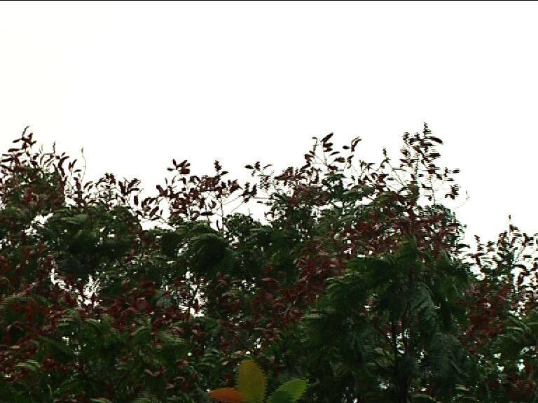 Weather update মেঘলা আকাশ, তবে গরম বাড়ছে রাজ্যে