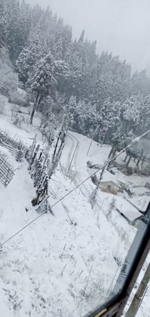 ছবি: সান্দাকফু, ধোতরে, টাইগার হিলে বসন্তে তুষারপাত