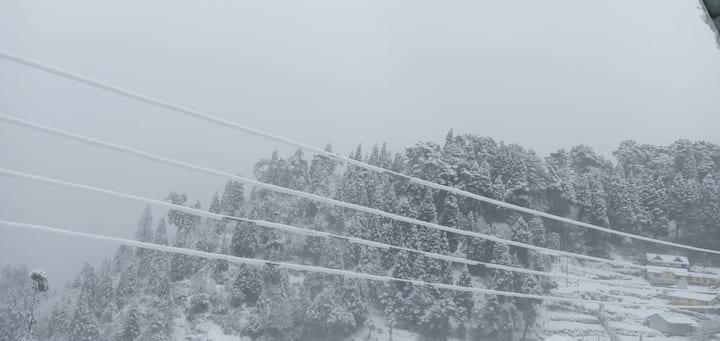 ফেব্রুয়ারি শেষ এমন তুষারপাত খুবই বিরল।