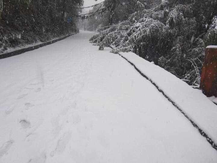 সব ছবি - মোহন প্রসাদ 