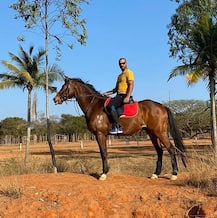 ‘কিতনে বোলার থে’, ঘোড়ায় চেপে শোলের সংলাপে ধবন ঘোষণা করলেন তিনি ফিট