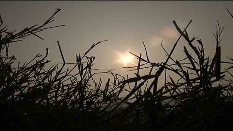 ফের ঝলমলাচ্ছে রোদ, রাজ্যে বসন্ত Weather update ফের ঝলমলাচ্ছে রোদ, রাজ্যে বসন্ত