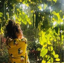 শান্তিনিকেতনে নুসরত জাহান, দেখুন ফটোশ্যুট