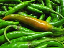 কাঁচা লঙ্কা জলে ভিজিয়ে খান, গুণ শুনে অবাক হবেন