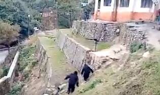 Uttarakhand dressed in bear costume to scare away monkey দেখুন: ভালুক বেশে ওঁরা কারা? দেখেই প্রাণপনে পিঠটান বাঁদরবাহিনীর