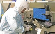 কানাডায় করোনার প্রতিষেধক আবিষ্কারে গবেষণা, রয়েছেন এক বাঙালি বিজ্ঞানী