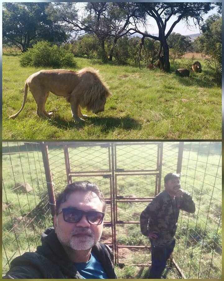 সব ছবি: সোশ্যাল মিডিয়া 