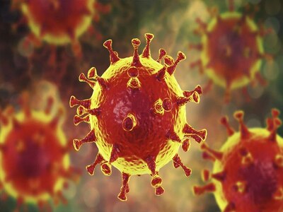 Did this book predict coronavirus outbreak 12 years ago?