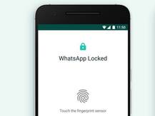 নতুন ফিচার আনছে হোয়াটসঅ্যাপ, নির্দিষ্ট সময় পরই মুছে যাবে মেসেজ!