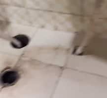 ৪০ জনের জন্য মাত্র ৩টি বাথরুম! দ্বারকায় কোয়ারেন্টিনে থাকা মহিলার ভিডিও ভাইরাল