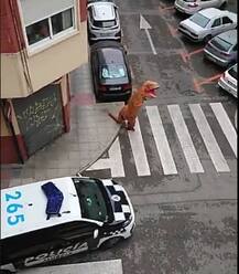 লকডাউন ফাঁকি দিয়ে ডাইনোসর সেজে রাস্তায় নামলেন এই ব্যক্তি, তারপর...