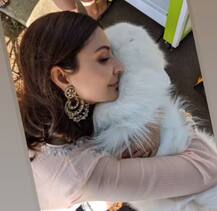 পশুরা করোনা ছড়ায় না! ভুল ধারনা ভাঙতে নিজেদের পোষ্যকে নিয়ে ছবি পোস্ট করলেন অনুষ্কা, অর্জুন, ফারহান, সোনালীরা