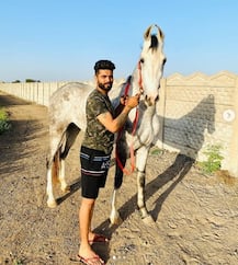 ঘোড়ায় চড়ছেন, ট্রেডমিলে ছুটছেন, পুরনো ভিডিও শেয়ার করলেন জাডেজা