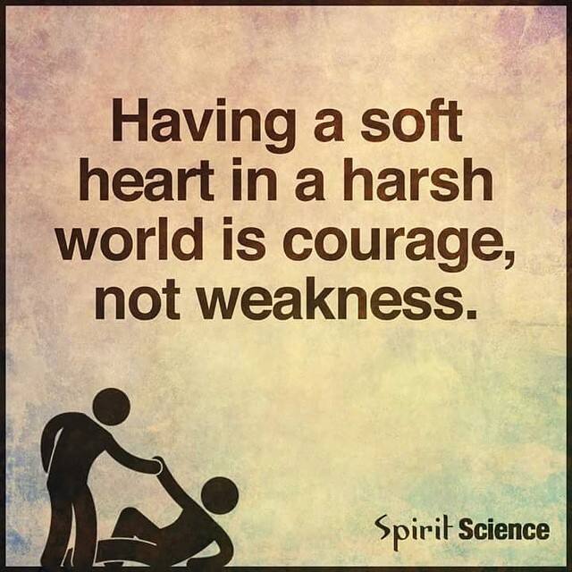 আজ অনুরাগীরা বুঝতে পারেন, কতটা একা হয়ে গিয়েছিলেন তাঁদের প্রিয় অভিনেত্রী।