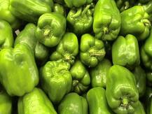 রোগ প্রতিরোধ ক্ষমতা বাড়ায় দারুণভাবে, খান ক্যাপসিকাম