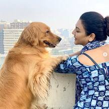 দেখুন, লকডাউনের জেরে বাড়িতে কীভাবে সময় কাটছে জয়া আহসানের