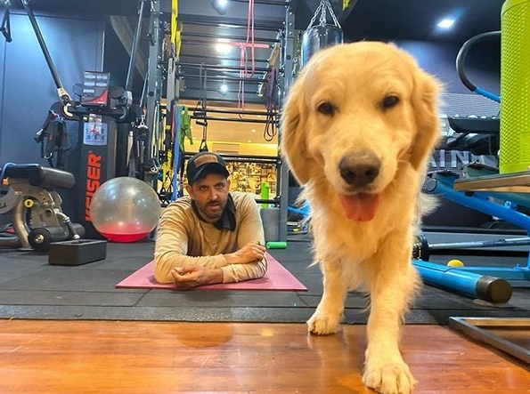 Hrithik Roshan did the transformation from Anand Kumar to Kabir of War, he was seen working hard in the video ‘আনন্দ কুমার’ থেকে ‘কবীর সিংহ’-তে বদলের জন্য কতটা পরিশ্রম করতে হয়েছিল? দেখালেন হৃতিক