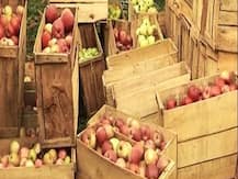 করোনা রুখতে ২০ তারিখ পর্যন্ত লকডাউন বাড়ান, কেন্দ্রকে অনুরোধ ব্যবসায়ী সংগঠনের