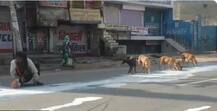 লকডাউনে দুধ নিয়ে কুকুরে মানুষে কাড়াকাড়ি!