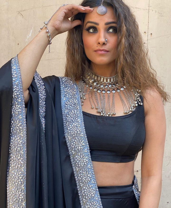 অনিতা বহু বছর ধরে 'কভি সৌতন কভি সহেলি', 'কাব্যাঞ্জলি' সহ একাধিক জনপ্রিয় সিরিয়ালে কাজ করেছেন। 