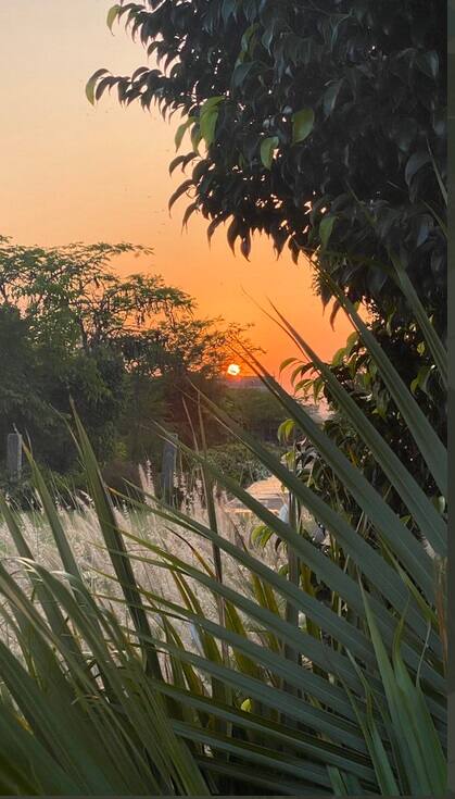 ধোনির স্ত্রী সাক্ষী ফার্মহাউসের এই ছবিগুলো তুলে পোস্ট করেছেন সোশ্যাল মিডিয়ায়।