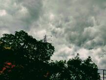 বৈশাখী ঝড়বৃষ্টিতে নিউটাউনে গাছ উপড়ে মৃত ১