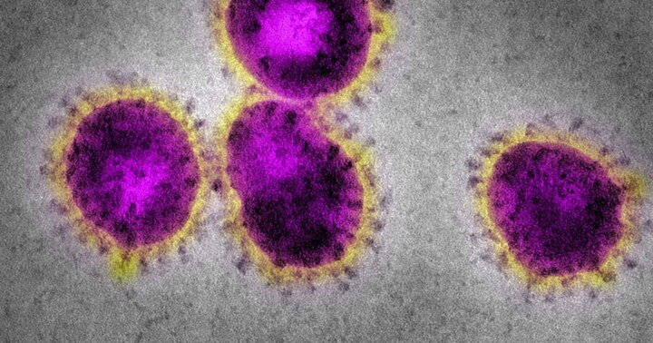 2 Indian-Origin Doctors, Father And Daughter, Die Of Coronavirus In US করোনায় আক্রান্ত হয়ে আমেরিকায় প্রয়াত ভারতীয় বংশোদ্ভূত চিকিৎসক বাবা-মেয়ে