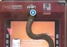 এটিএম মেশিনের ভেতর ঢুকে পড়ল বিশাল সাপ, ভাইরাল ভিডিও, তাজ্জব সোশ্যাল মিডিয়া