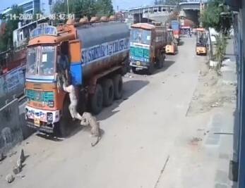 Stray Dogs corner leopard after it attacks two person in Hyderabad হায়দরাবাদে চিতাবাঘের তাড়া দুই ব্যক্তিকে, রাস্তার কুকুরদের দলের দাপটে কোণঠাসা, ভাইরাল ভিডিও